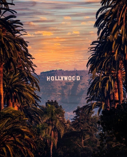 Hollywood Vibes: Inspirerte Vesker fra ShopStar